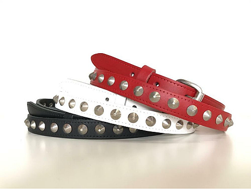 Conical 1 Row STUDDED Belt - Assorted Colours Available